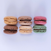 Extra Macarons (6st)